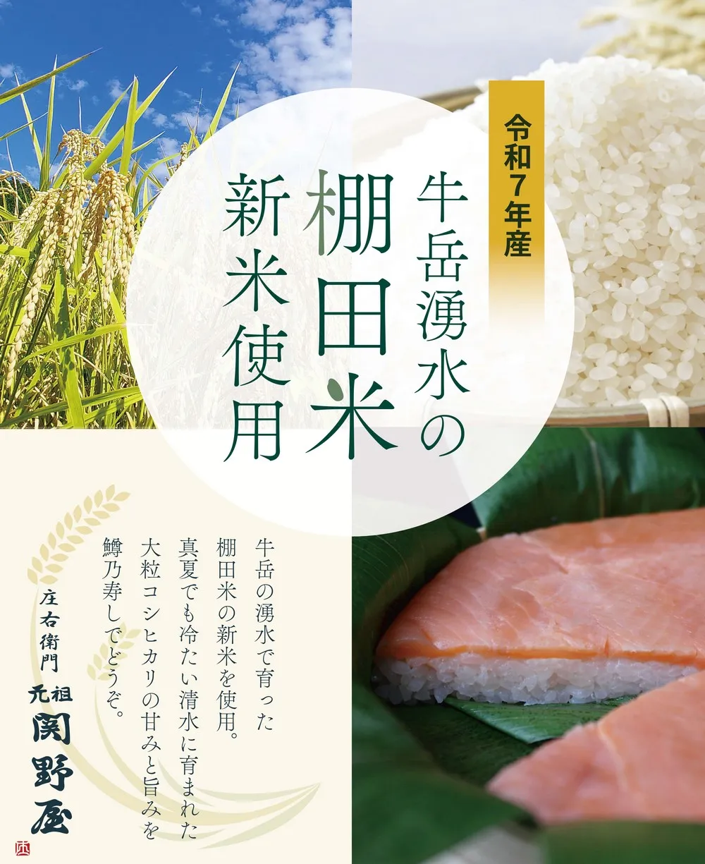 牛岳の棚田米